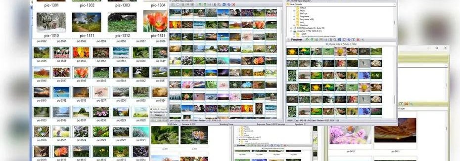 Can AI File Sorter Handle 10,000+ Pictures and Large File Batches?